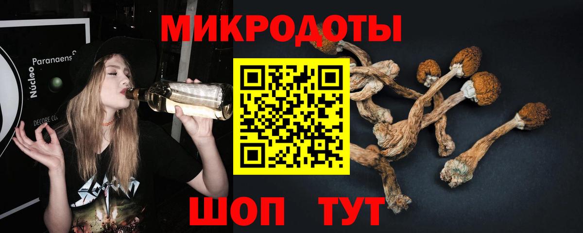 Псилоцибиновые грибы Magic Shrooms  Псилоцибиновые грибы GOLDEN TEACHER  Вход с VPN  Донецк 